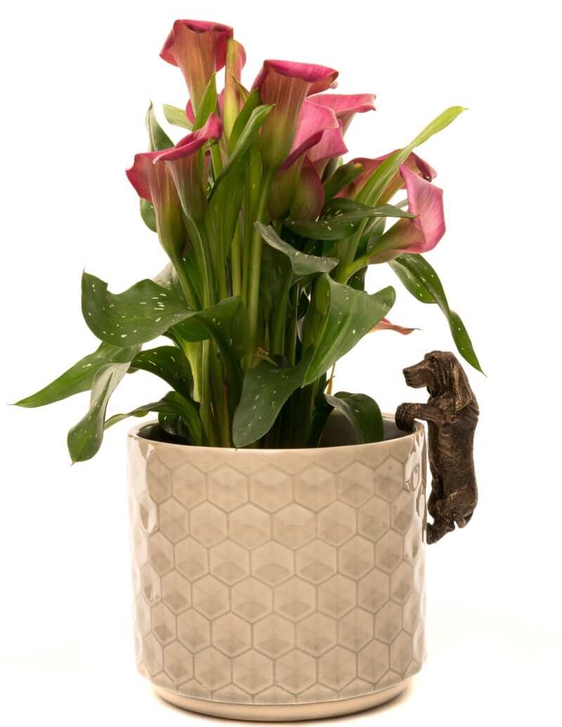 Basset Hound Plant Pot Hanger - Image 3