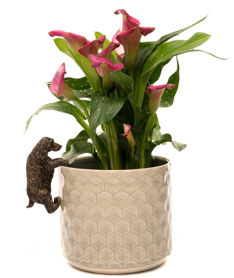 Cocker Spaniel Plant Pot Hanger - Image 3