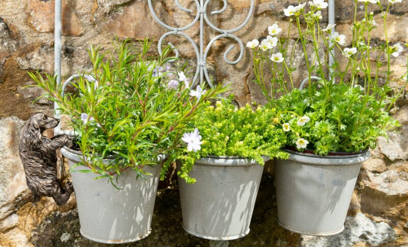 Cocker Spaniel Plant Pot Hanger - Image 8