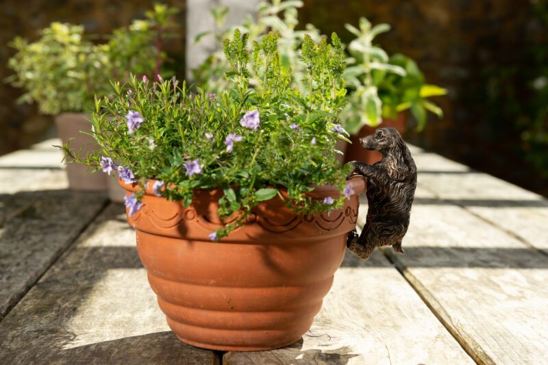 Cocker Spaniel Plant Pot Hanger - Image 6