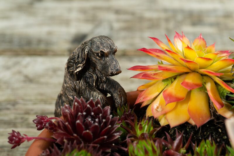 Cocker Spaniel Plant Pot Hanger - Image 5