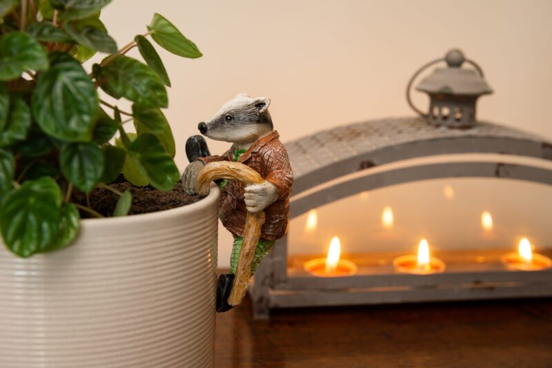 Wind In The Willows Range of 5 Pot Buddies - Image 5