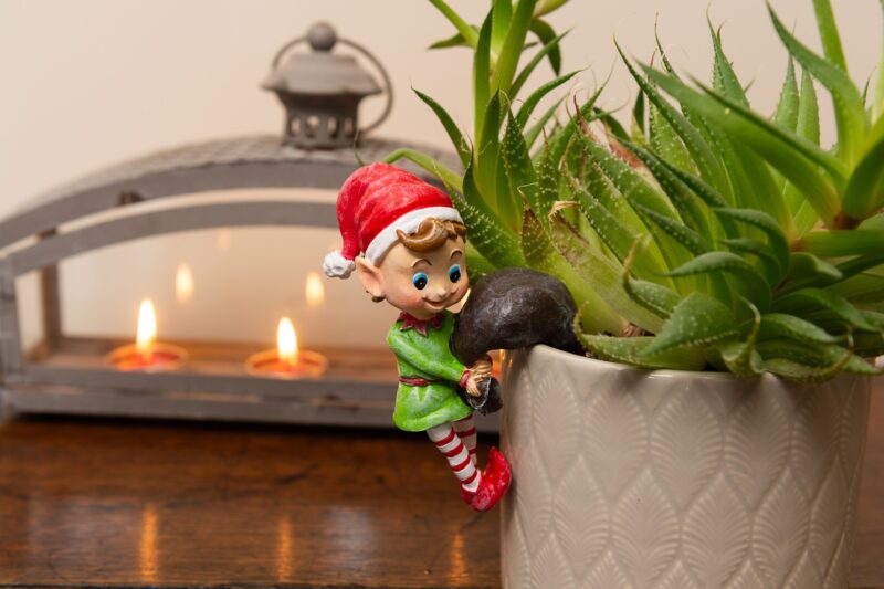 Pot Buddies Christmas Naughty Elf Plant Pot Hanger - Image 4