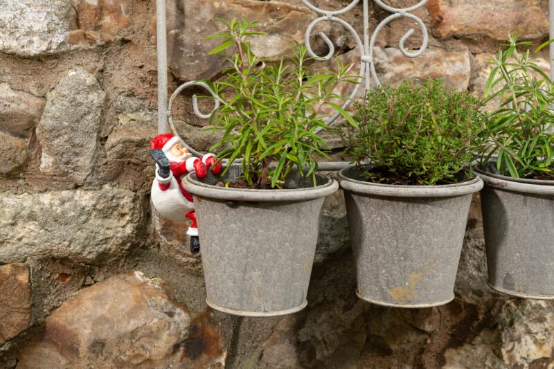 Pot Buddies Father Christmas Plant Pot Hanger - Image 5