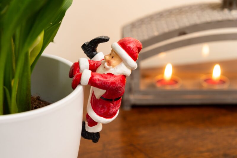 Pot Buddies Father Christmas Plant Pot Hanger