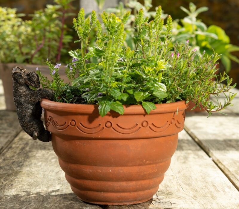 Schnauzer Potty Feet and Pot Buddy - Image 5