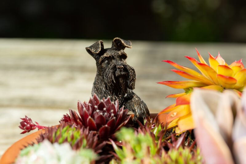 Schnauzer Potty Feet and Pot Buddy - Image 6