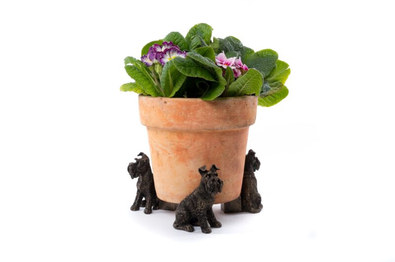 Schnauzer Potty Feet and Pot Buddy - Image 2