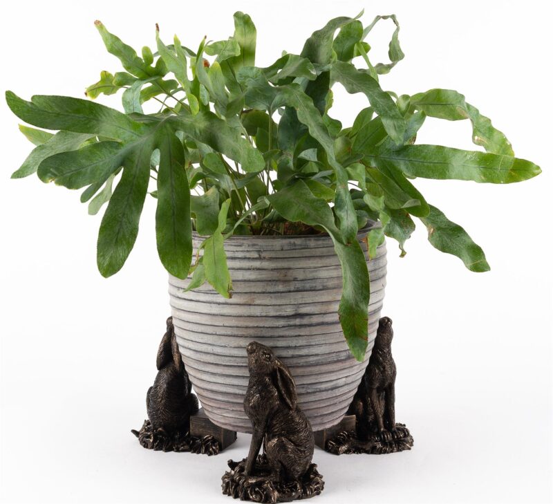 Moongazing Hare Plant Pot Feet - Set of 3 - Image 4