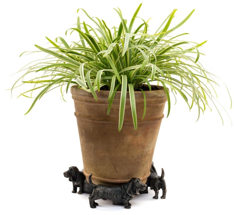 Basset Hound Plant Pot Feet - Set of 3