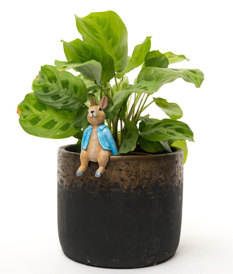 Beatrix Potter Peter Rabbit Sitting Plant Pot Hanger - Image 6