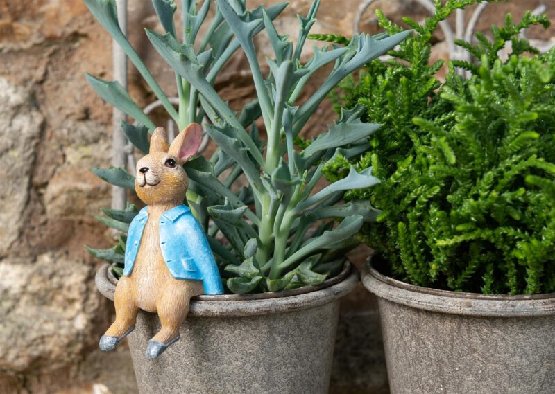 Beatrix Potter Peter Rabbit Sitting Plant Pot Hanger - Image 9