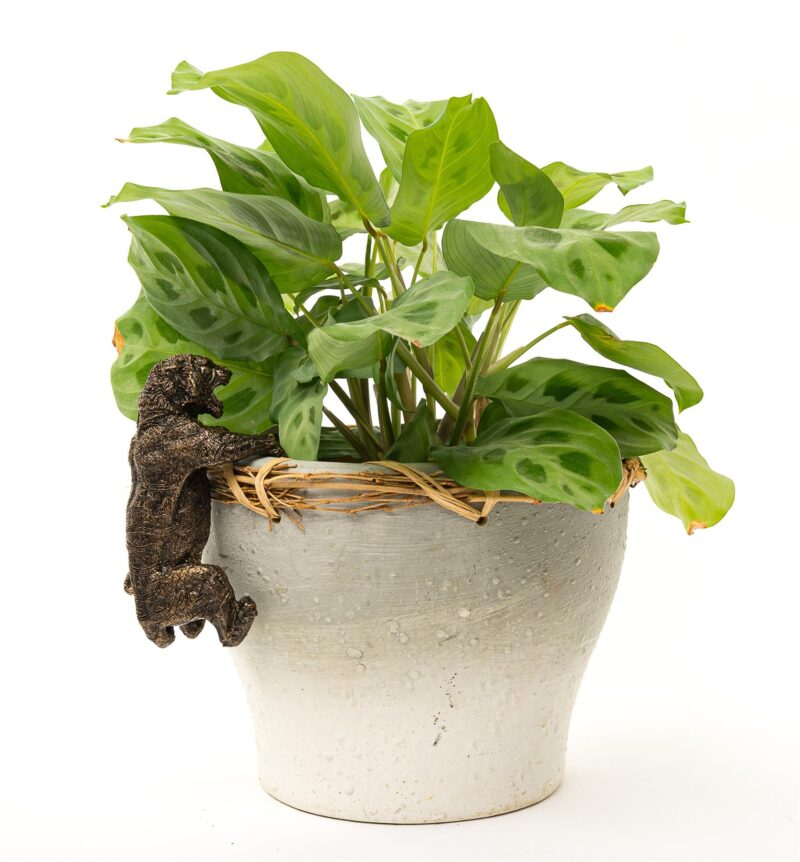 Tiger Plant Pot Hanger - Image 9