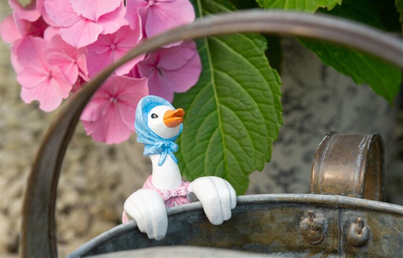 Beatrix Potter Jemima Puddle-Duck Plant Pot Hanger - Image 7