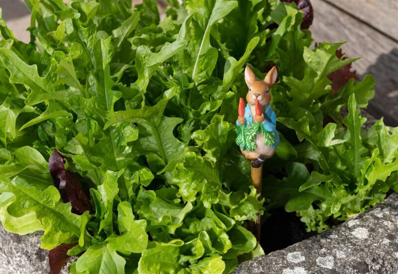 Beatrix Potter Peter Rabbit Eating Radishes Cane or Stake Topper - Image 5