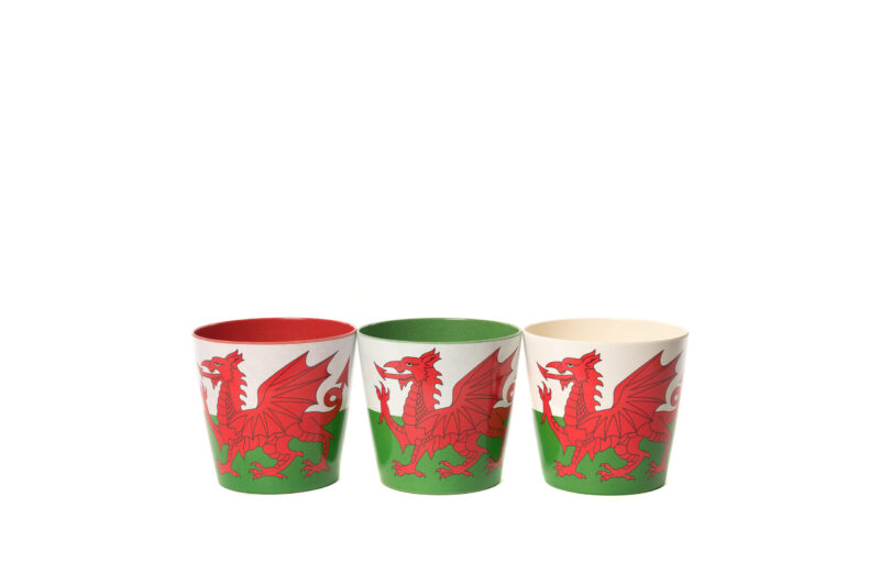 Bamboo Eco-Pots Flags Wales - The Red Dragon Welsh flag- Set of 3