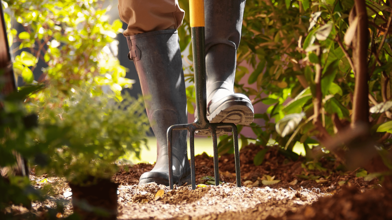 8 Essential February Garden Tasks - Jardinopia Ltd