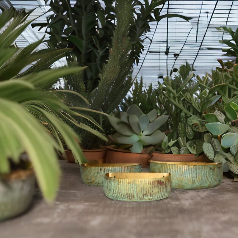 Antique Style Brass Patinated Steel Succulent And Cacti Trays  -  Set Of 3 - Image 3