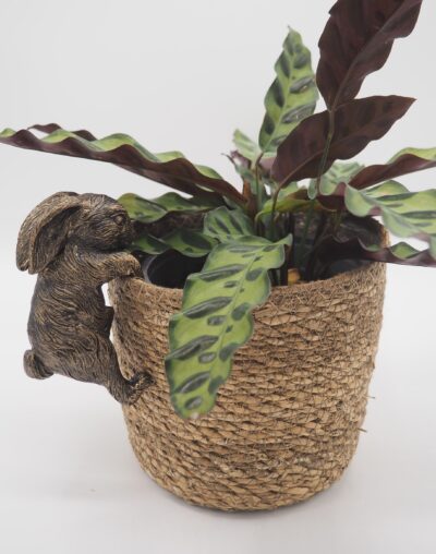 Rabbit Pot Buddies Plant Pot Hanger