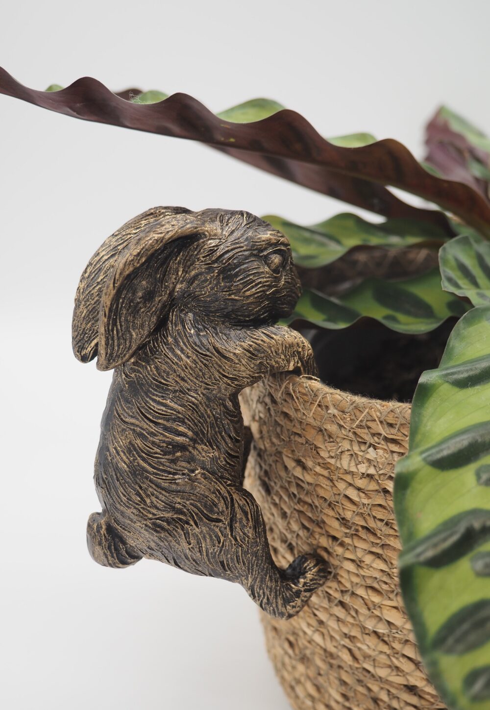 Rabbit Pot Buddies Plant Pot Hanger - Image 10