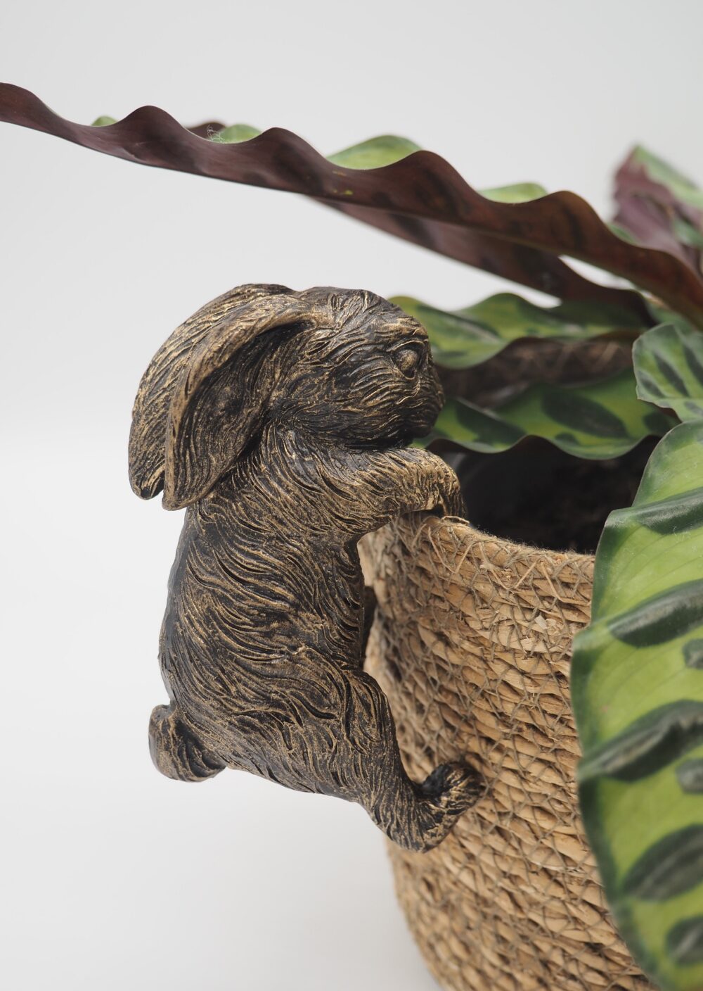 Rabbit Pot Buddies Plant Pot Hanger - Image 5