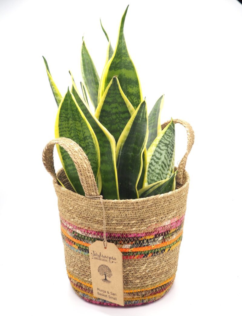 Munja And Reclaimed Fabric Eco Plant Pot Cover With Handles - Large - Image 7