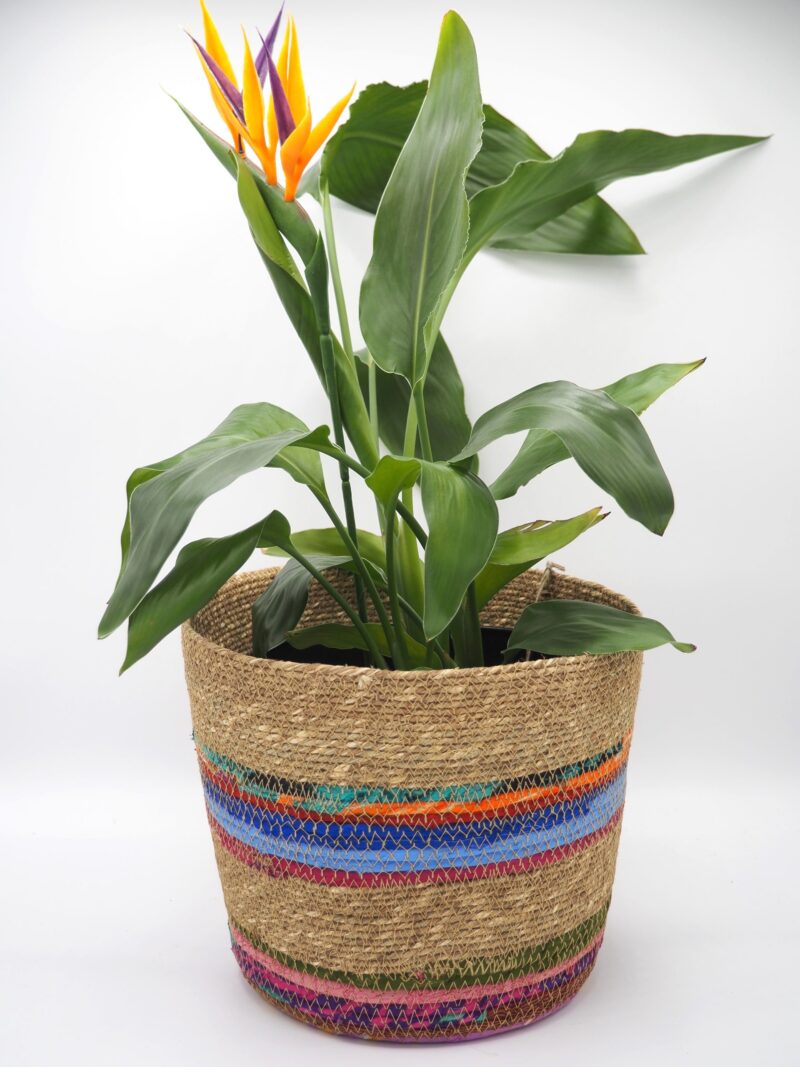 Munja And Reclaimed Fabric Eco Planter With Removable Metal Liner - Medium - Image 7