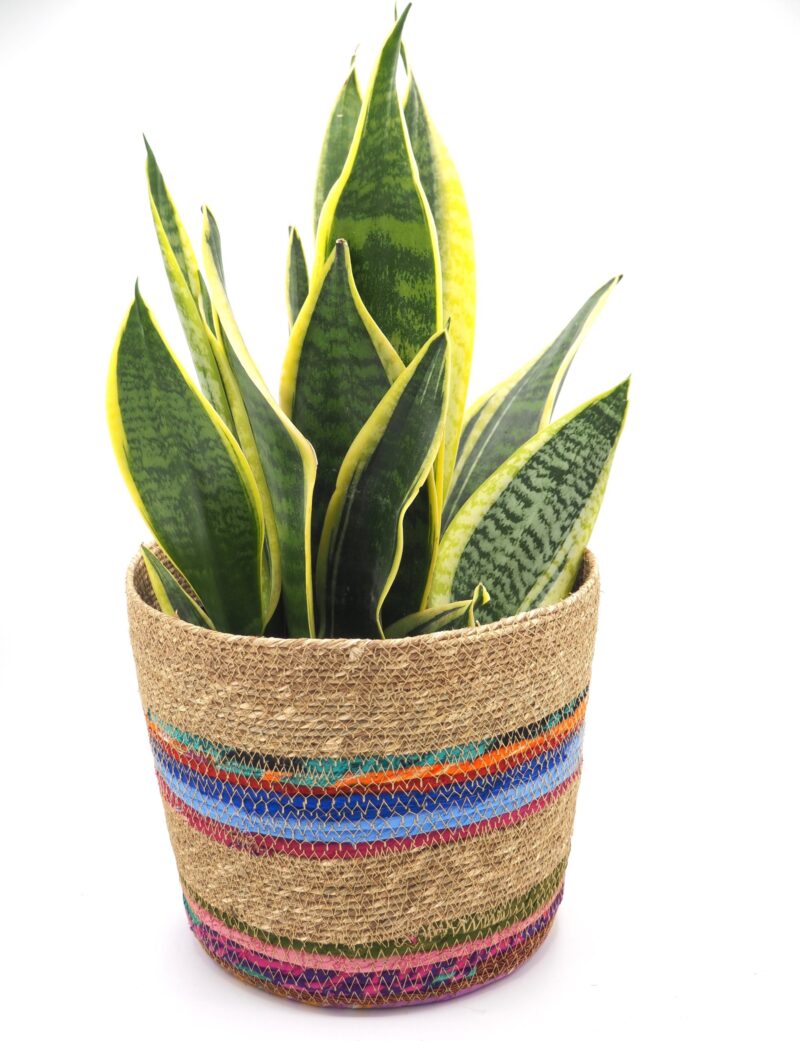 Munja And Reclaimed Fabric Eco Planter With Removable Metal Liner - Small - Image 4