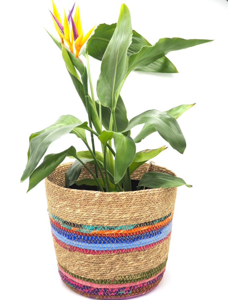 Munja And Reclaimed Fabric Eco Planter With Removable Metal Liner - Small - Image 5