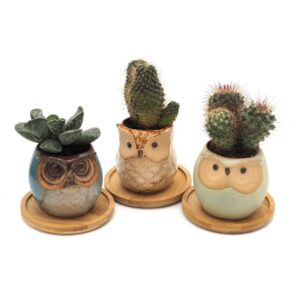 Owl Ceramic Planters