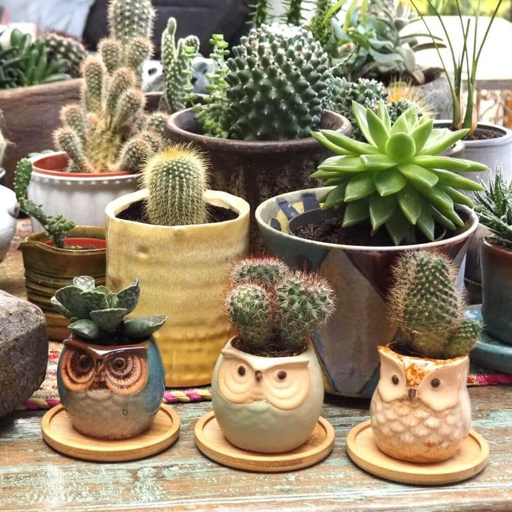 Owl Ceramic Planters with Saucers - Set of Three - Blue, Brown & Mint - Image 4
