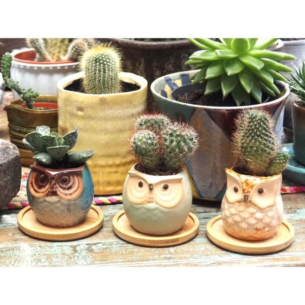 Owl Ceramic Planters with Saucers - Set of Three - Blue, Brown & Mint - Image 3