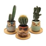 Collection of three handmade owl ceramic planters in teal, cream and sage colours with bamboo saucers, showcasing various succulents and cacti