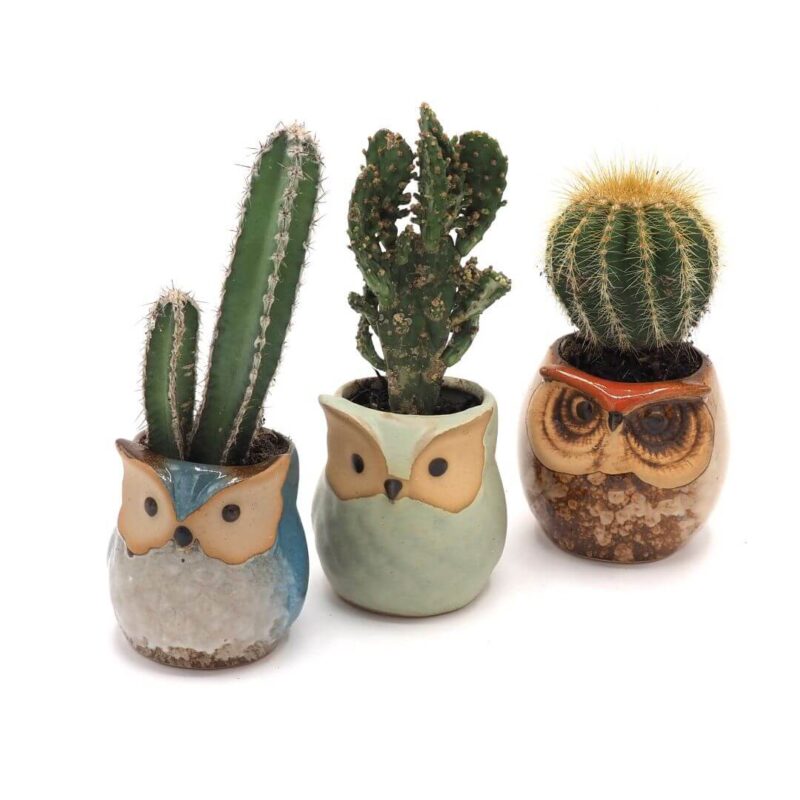 Rustic Owl Ceramic Planters with Bamboo Saucers - Set of Three - Teal, Cream & Sage - Image 5