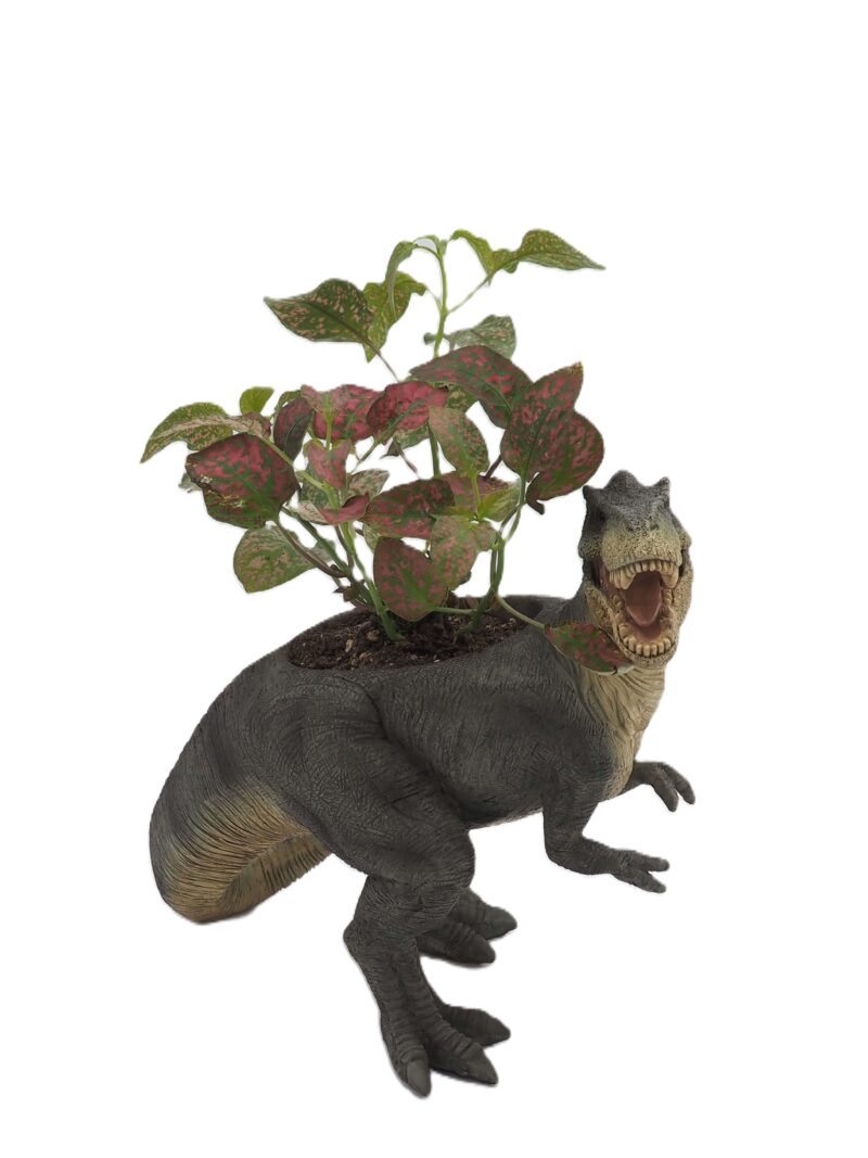 T-Rex Dinosaur Planter - Image 5