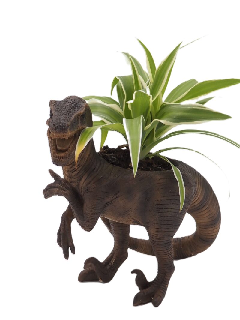 Velociraptor Dinosaur Planter - Image 9