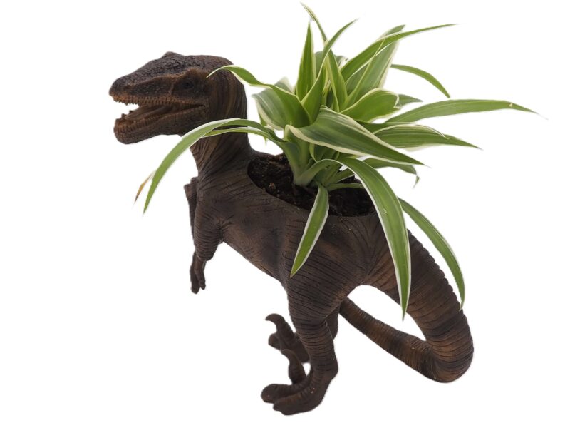 Velociraptor Dinosaur Planter - Image 10