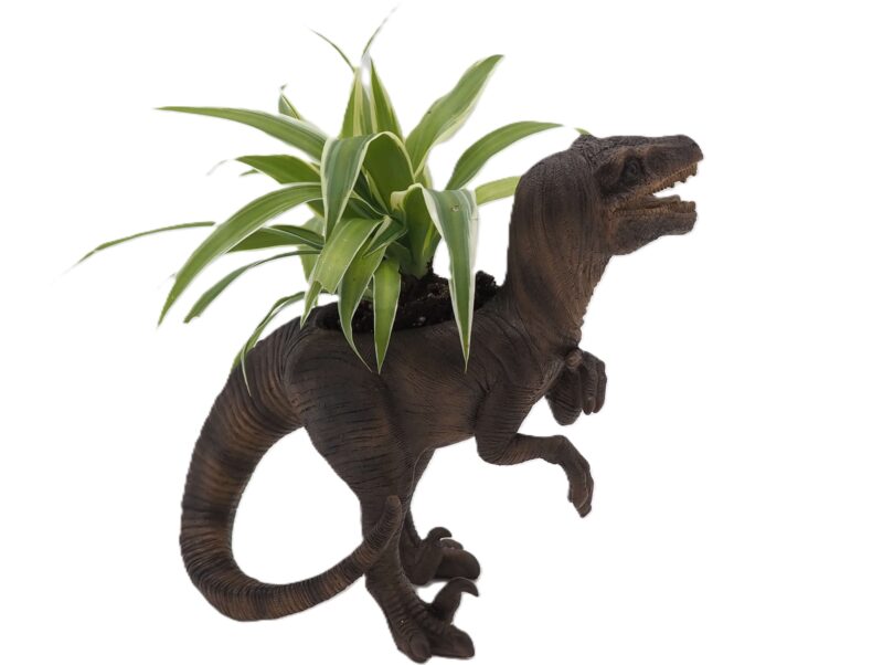 Velociraptor Dinosaur Planter - Image 11