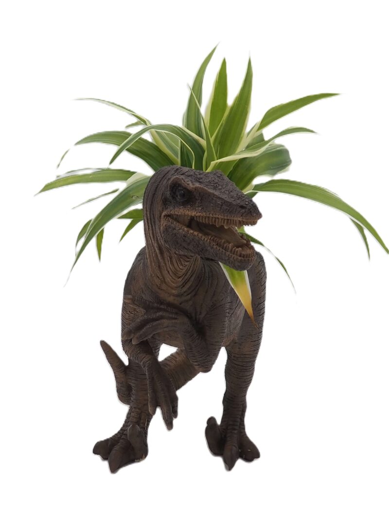 Velociraptor Dinosaur Planter - Image 12