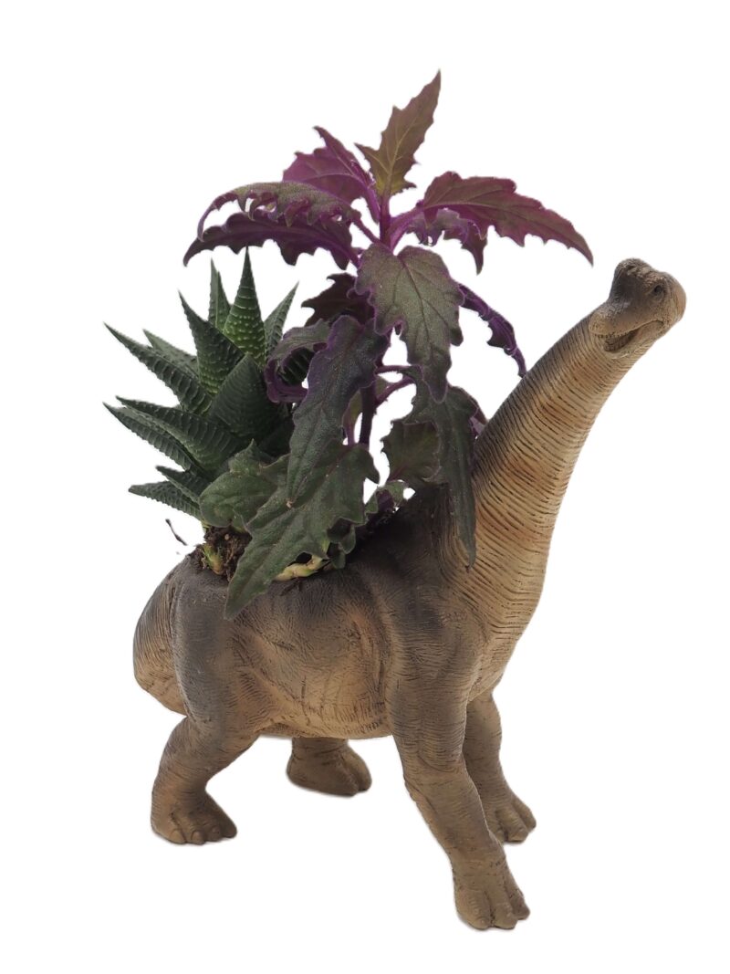 Brachiosaurus Dinosaur Planter - Image 9