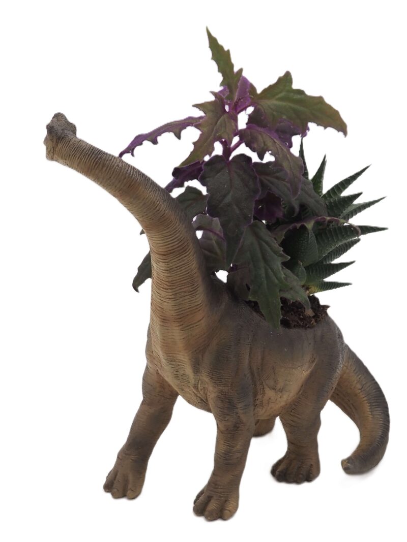 Brachiosaurus Dinosaur Planter - Image 3