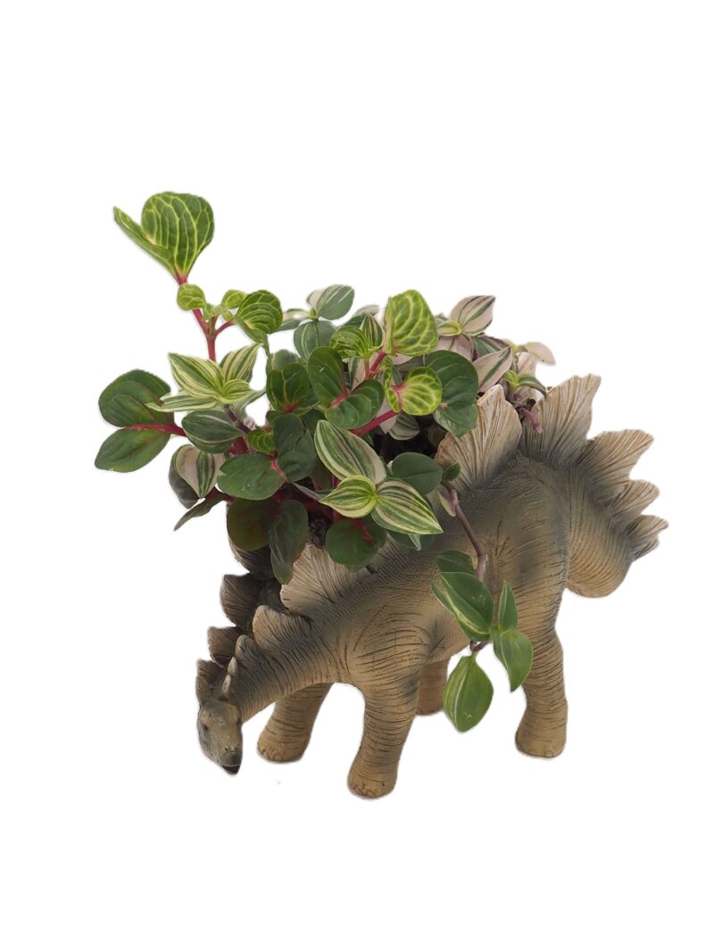 Stegosaurus Dinosaur Planter - Image 7