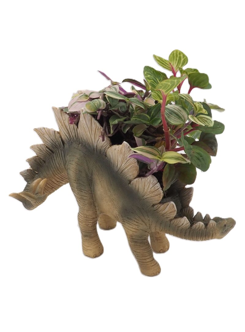 Stegosaurus Dinosaur Planter - Image 2