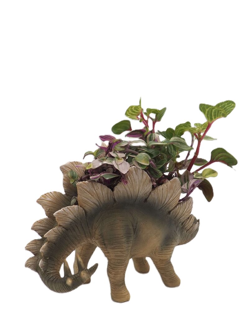 Stegosaurus Dinosaur Planter - Image 6