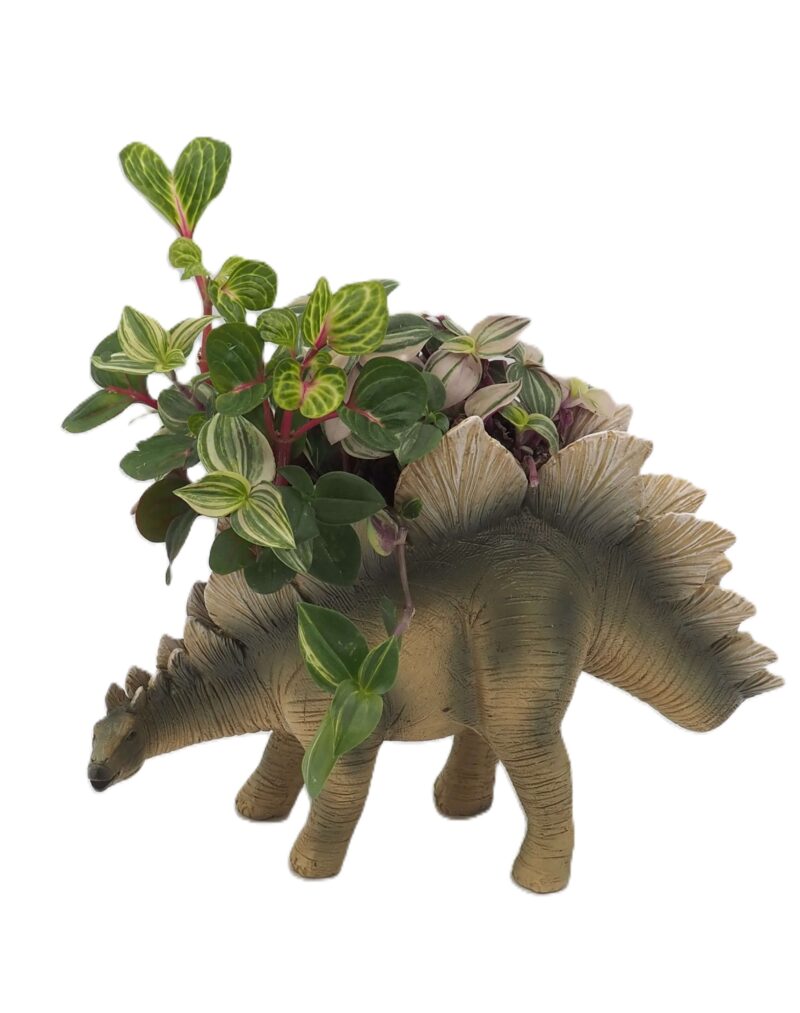 Stegosaurus Dinosaur Planter - Image 5