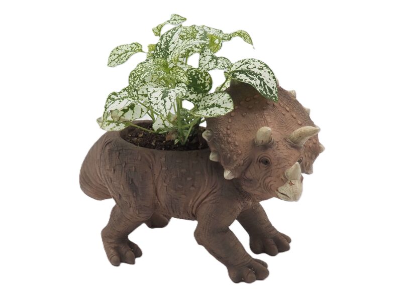 Triceratops Dinosaur Planter - Image 6