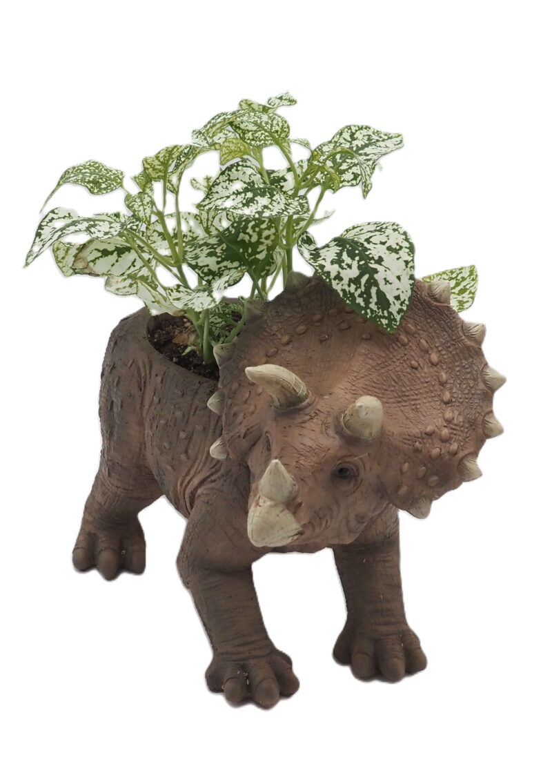 Triceratops Dinosaur Planter - Image 5