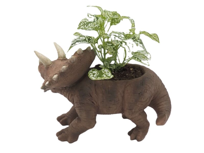 Triceratops Dinosaur Planter - Image 4