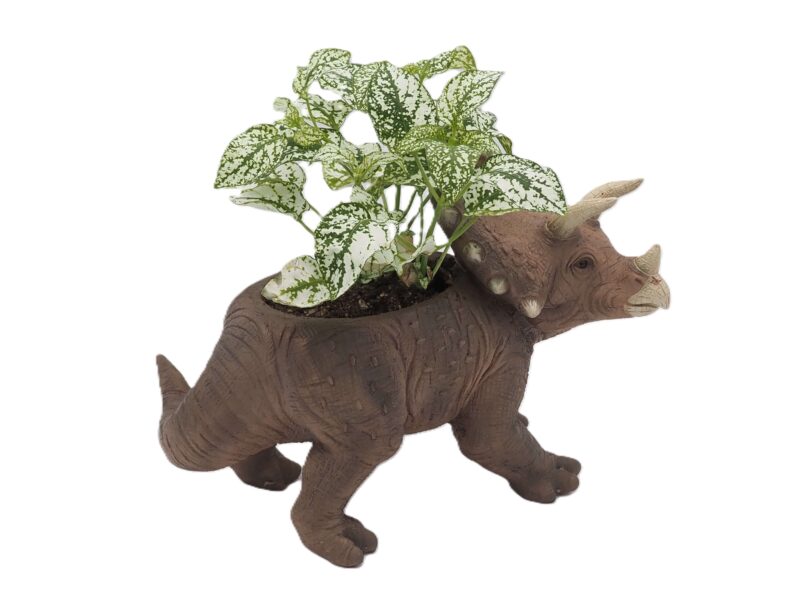 Triceratops Dinosaur Planter - Image 3