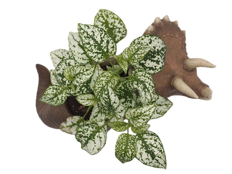 Triceratops Dinosaur Planter - Image 2